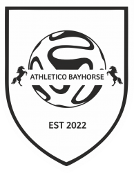 Athletico BayHorse badge